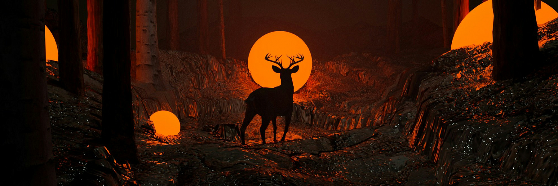 Banner de la sección de animación